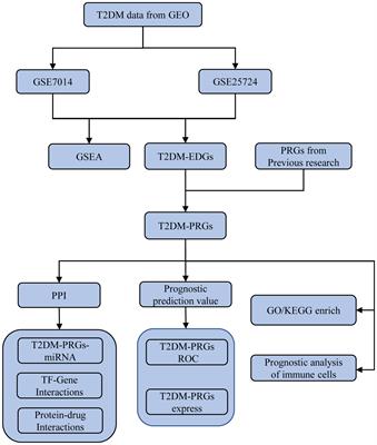 Integrative bioinformatics analysis of biomarkers and pathways for exploring the mechanisms and molecular targets associated with pyroptosis in type 2 diabetes mellitus